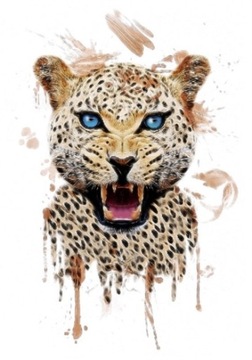 N07 DUŻY TATUAŻ ZMYWALNY TYMCZASOWY GEPARD PANTERA