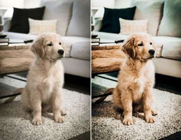 Lightroom ПРЕДВАРИТЕЛЬНЫЕ фильтры Instagram Facebook