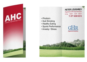 СЛОЖЕННЫЙ ЛИСТОВОК 2xDL до DL 500 штук Мел 250г