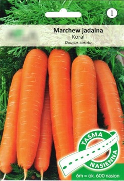 MARCHEW JADALNA KORAL NASIONA NA TAŚMIE 6m