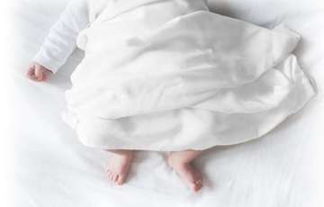 PIELUCHA TETROWA BAW.100% 70x80 PIELUCHY TETROWE