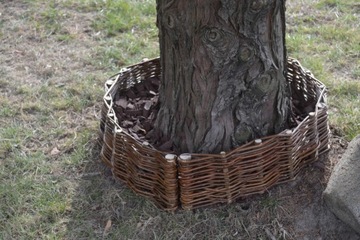 PALISADA WIKLINOWA ZAOKRĄGLONA płotek 25/45 [cm]