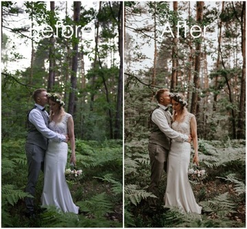 Пресеты Lightroom, Пресеты Instagram — Mint Love