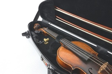 ArtMG Violin Футляр для скрипки DOLPHIN SI