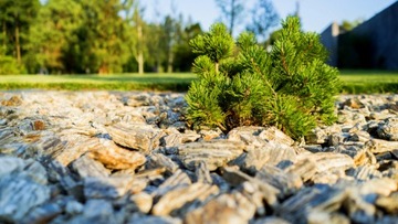 КАМЕННАЯ КОРА Камень для садового гравия