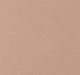 LOREAL True Match Powder Прессованная пудра W3