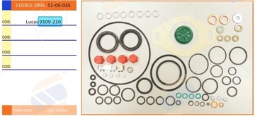 Zestaw naprawczy pompy DPC DPCN Lucas 9109-210 8109-210A FORD 1.8 T