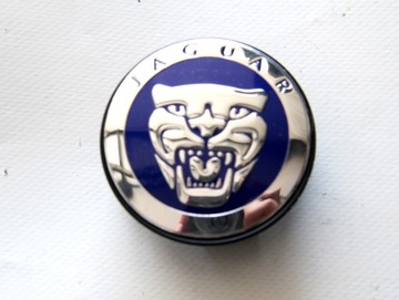 DEKLE DEKIELKI JAGUAR 8W93-1A096-AB