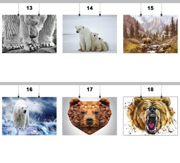 ПОСТЕР МЕДВЕДЬ 100x130 СМ 18 МАТОВЫХ ДИЗАЙНОВ
