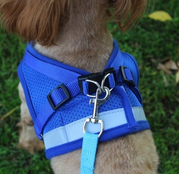 SZELKI SPACEROWE BEZUCISKOWE DLA KOTA + SMYCZ REGULOWANE ODBLASK ROZMIAR S