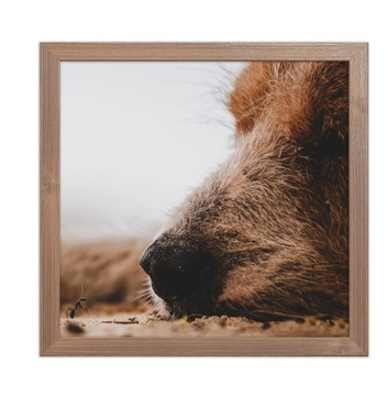 Рамка для фото Italia квадратная 30x30 черная