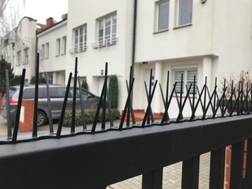 SKUTECZNE PLASTIKOWE KOLCE NA PTAKI GOŁĘBIE 4 KOLORY TRWAŁE i BEZPIECZNE