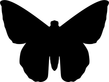 Naklejka ścienna MOTYL NA ŚCIANĘ 48cm X 65cm