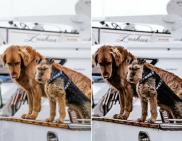 Lightroom ПРЕДВАРИТЕЛЬНЫЕ фильтры Instagram Facebook