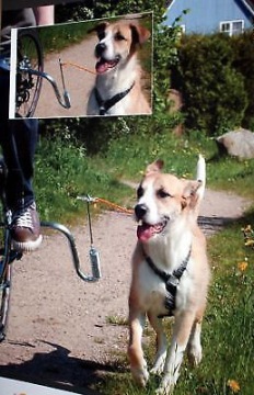 Прочная пружинная ручка LEASH для собачьего велосипеда.