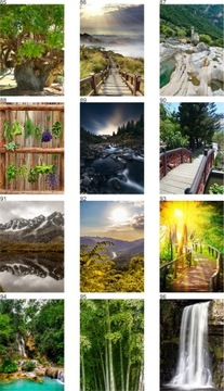 3D ФОТО ОБОИ ЛЕС ДЕРЕВЬЯ ЦВЕТЫ ПРИРОДА+100 узоров