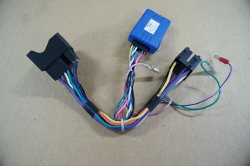 STEROWANIE RADIEM Z KIEROWNICY FORD CAN 1 NA 2 DIN