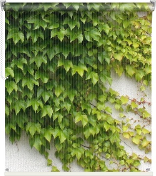 FOTOROLETY zewnętrzne siatka mata balkon 146x150