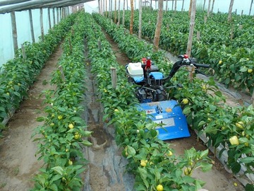 Трактор двухосный БКС 728, мотоблок