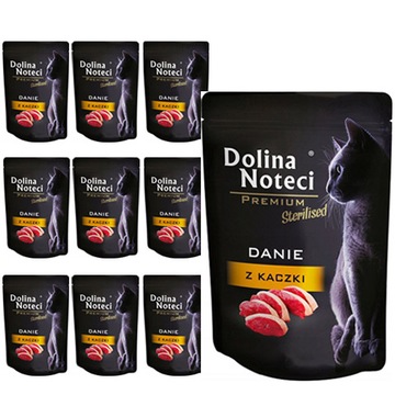 Dolina Noteci Danie z KACZKI Sterylizowane 10x85g
