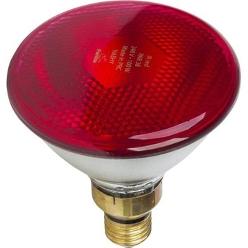LAMPA PROMIENNIK PAR CZERWONY 175W FARMA KWOKA