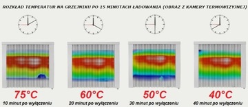 Программируемый накопительный обогреватель Lucht 600 Вт.