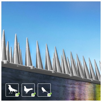 NAJWYŻSZE KOLCE LISTWA NA PTAKI PRZECIW GOŁĘBIOM