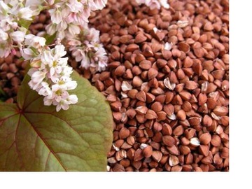 Детская подушка Healthy Eco с гречневой шелухой 40х60