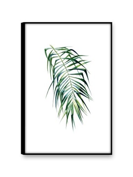 LIŚĆ PALMY Obrazy na płótnie 30x45 Obraz rośliny