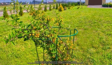 Набор стальных подставок для цветов 115 см, зеленый, 3 шт.
