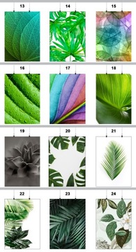 ПОСТЕР ЛИСТА ЛИСТЬЯ РАСТЕНИЯ 90x60СМ MAT 78 ДИЗАЙНОВ