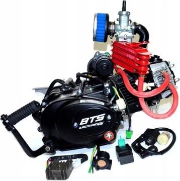 SILNIK 110 BTS MOTOROWER 139FMB + CHŁODNICA OLEJU