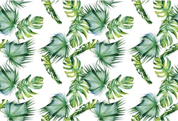 FOTOTAPETY MONSTERA NA WYMIAR KWIATY LIŚCIE TAPETA