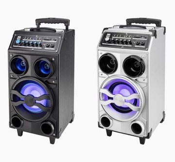PRZENOŚNY GŁOŚNIK KOLUMNA Dual DSBX 100 BT RADIO