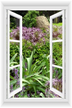 ОКНО СТЕНА СТЕНА 3D САД ПЕРГОЛА ЦВЕТЫ 80х120