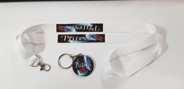 Таблички светодиодные 50х16 ​​LED грузовик ЦВЕТНОЙ НАБОР