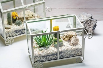 Грунт-субстрат для кактусов 3л Субстрал