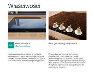 GORENJE ретро-духовка + индукционная варочная панель
