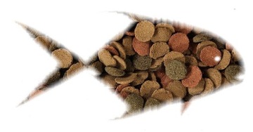 SMALL WAFERS wafle dla roślinożerców 50g GLONOJAD