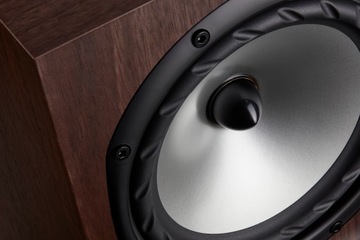 Колонки Fyne Audio F300 Black ASH, 2 шт.