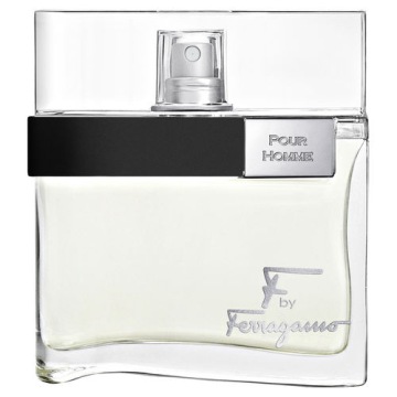 SALVATORE FERRAGAMO F BY FERRAGAMO POUR HOMME 100