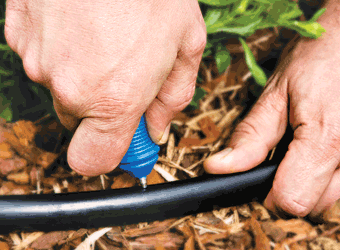 Вставка для капельниц-капельниц x10 шт.