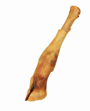TRIXIE Przysmak Suszona Łapa Jagnięca 16-18cm 2740
