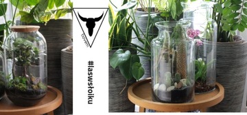 Набор стеклянных ваз Jar Jar S- H18 пробка Forest w