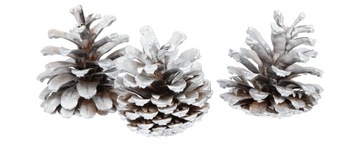 Шишки черные, шишка серебристая, 3 шт.