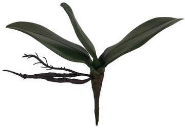 РЕЗИНОВЫЕ ЛИСТ ОРХИДЕИ ЛИСТЬЯ ОРХИДЕИ 26,5 СМ