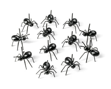 Вечеринка ANTS для закусок
