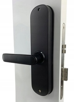 Кодированная комбинированная дверная ручка, дистанционное управление, RFID, TTLock, WiFi