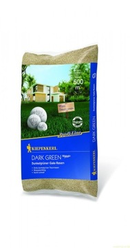 Kiepenkerl Dark Green 10kg Nasiona Trawy intesywne
