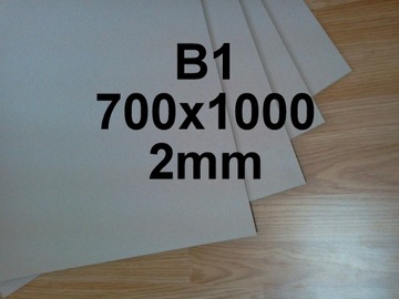 TEKTURA INTROLIGATORSKA MODELARSKA B1 700x1000 2mm